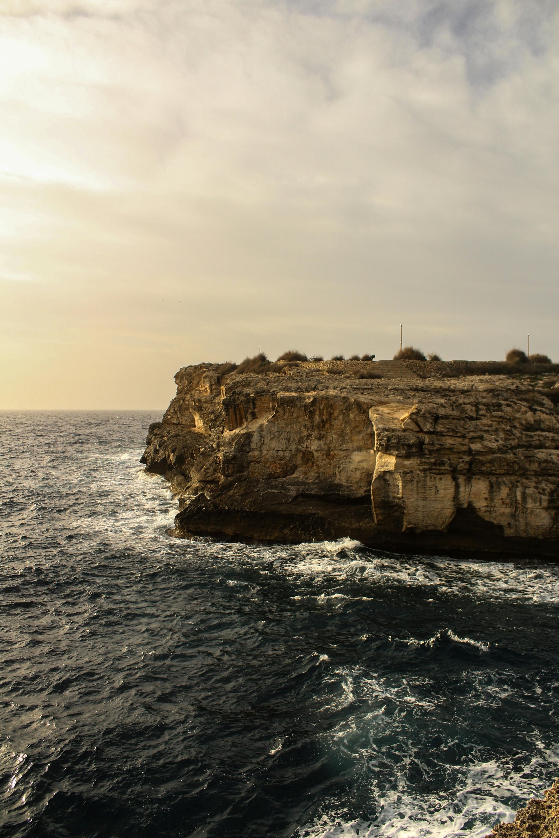 Calidessa nacida en Menorca